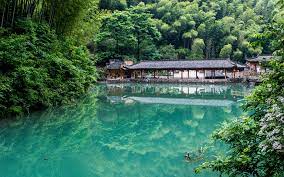 Mukeng Bamboo Forest 